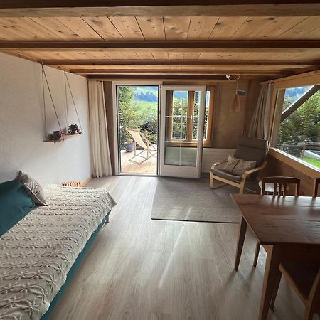 Chalet Sonnenheim, Wohnung Mit Panoramafenster Αντελμπόντεν Εξωτερικό φωτογραφία