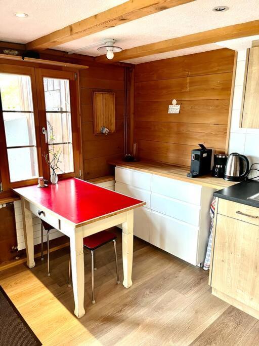 Chalet Sonnenheim, Wohnung Mit Panoramafenster Αντελμπόντεν Εξωτερικό φωτογραφία