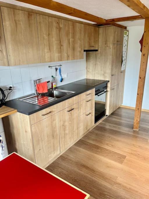 Chalet Sonnenheim, Wohnung Mit Panoramafenster Αντελμπόντεν Εξωτερικό φωτογραφία