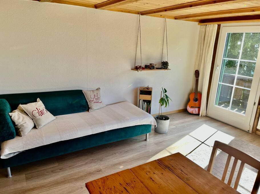 Chalet Sonnenheim, Wohnung Mit Panoramafenster Αντελμπόντεν Εξωτερικό φωτογραφία